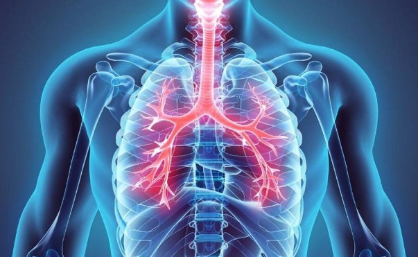 Atención Farmacéutica en la Patología Respiratoria Obstructiva
